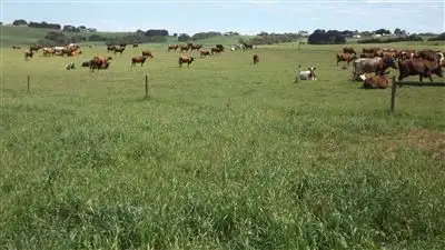 Seventh view of Homely rural property listing, 560 Princetown Road, Simpson VIC 3266