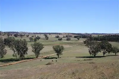 4861 Mendooran Rd, Coonabarabran NSW 2357