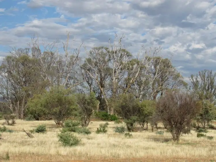 Third view of Homely rural property listing, 2871 Minburra Road, Orroroo SA 5431