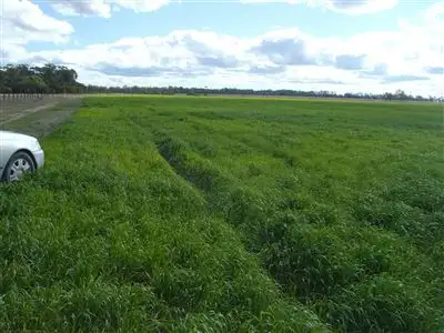 Seventh view of Homely rural property listing, - Punchs Creek Road, Millmerran QLD 4357