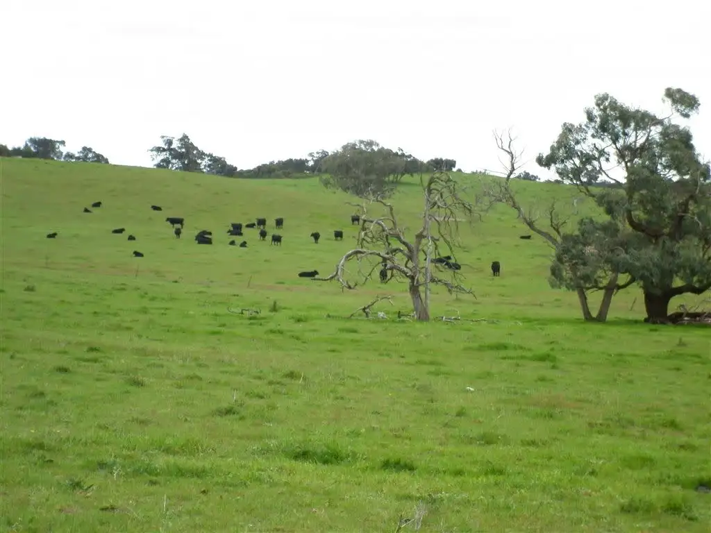 Main view of Homely rural property listing, Section 65 Mail Bridge Road, Kingston Se SA 5275