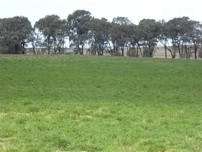 Main view of Homely rural property listing, 486 Nicholson Road, Coonalpyn SA 5265