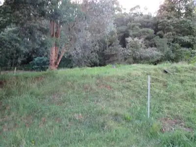 Third view of Homely land listing, 45 Peters Street, Tullah TAS 7321