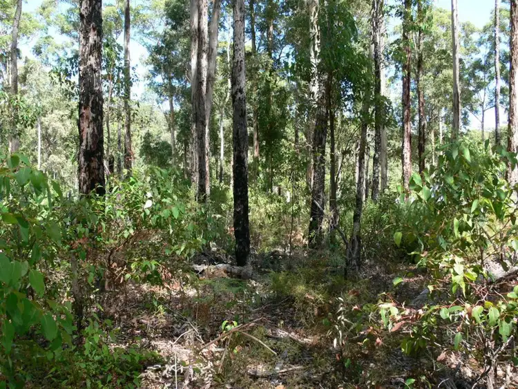 Fourth view of Homely land listing, 107 Titree Glen, Quinninup WA 6258