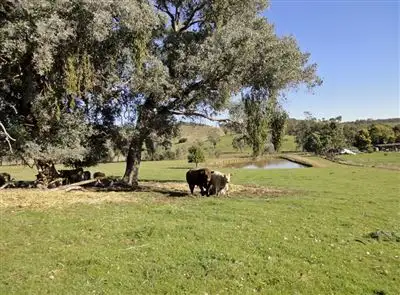 Sixth view of Homely rural property listing, 188 Upper Carboor Road, Carboor VIC 3678
