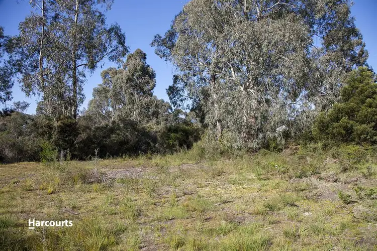 Main view of Homely land listing, 22 Flakemores Road, Eggs And Bacon Bay TAS 7112