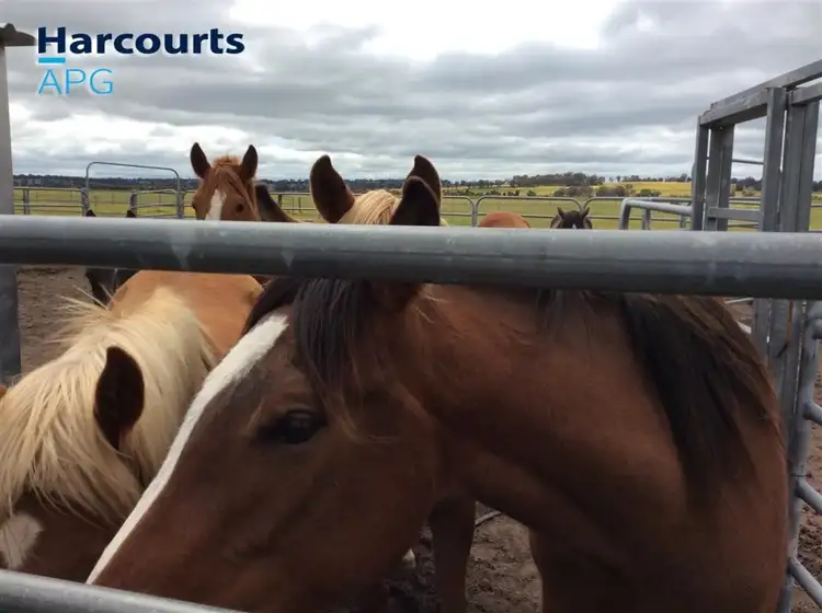 Sixth view of Homely rural property listing, 184 Mcdonald Road, Darkan WA 6392