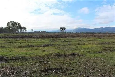 Sixth view of Homely rural property listing, 000 McCutcheons Road, Cavendish VIC 3314