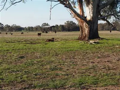 Fourth view of Homely rural property listing, 338 Benalla Warrenbayne Road, Baddaginnie VIC 3670