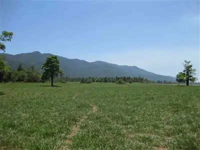 Main view of Homely rural property listing, 1256 Tully Gorge Road, Jarra Creek QLD 4854