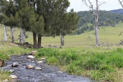 Second view of Homely rural property listing, 642 Neringla Road, Araluen, Braidwood NSW 2622