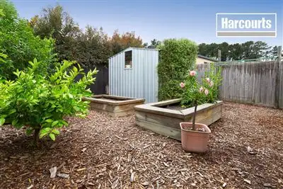 Sixth view of Homely house listing, 11 Harrison Court, Tyabb VIC 3913