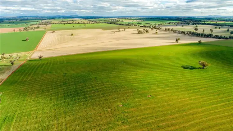 Sixth view of Homely rural property listing, The Village, East Millwood Road, Wagga Wagga NSW 2650