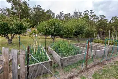 Fourth view of Homely house listing, 25 Turn Creek Road, Grove TAS 7109