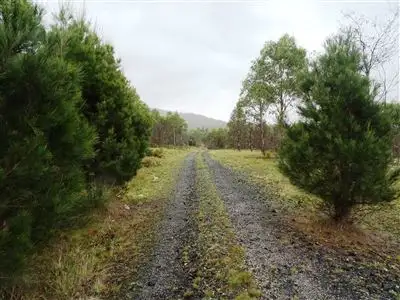 Second view of Homely rural property listing, 149ha Tasman Highway, Goshen TAS 7216