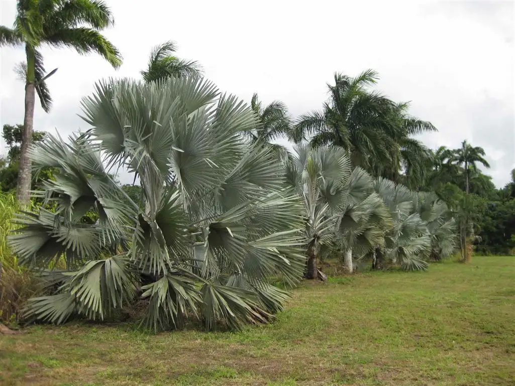 Main view of Homely rural property listing, Address available on request