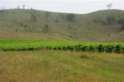 Sixth view of Homely rural property listing, 380 Horse Flat Lane, Mudgee NSW 2850
