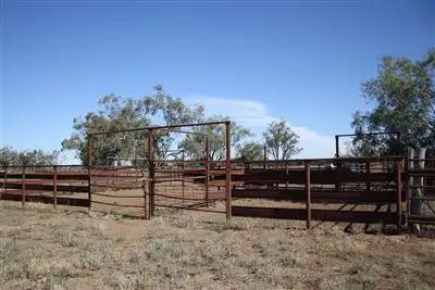 Third view of Homely rural property listing, 7856 Carinda Rd, Coonamble NSW 2829