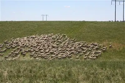 Third view of Homely rural property listing, 7291 The Block - Castlereagh Hwy Ilford, Mudgee NSW 2850