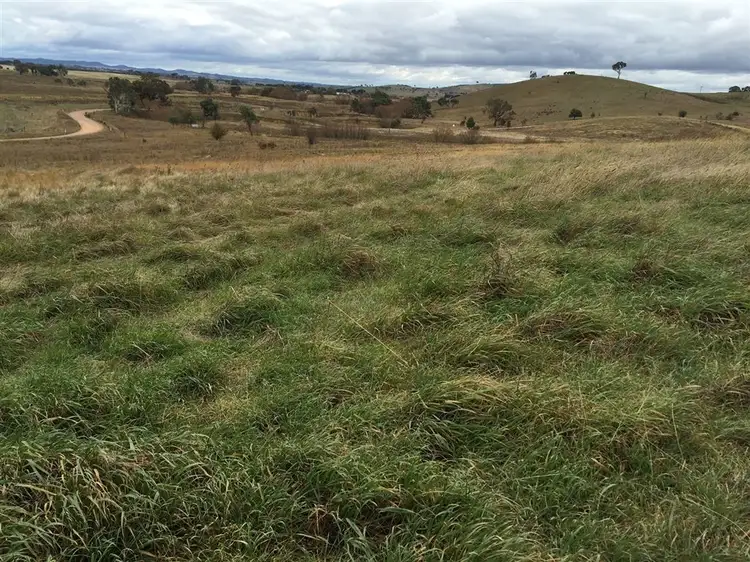 Second view of Homely rural property listing, 1 'Little Yellangalo’ Berrebangalo Road, Gunning NSW 2581