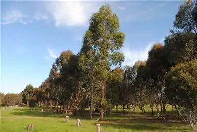 Seventh view of Homely land listing, Lot 2/126 Eagle Crt, Teesdale VIC 3328