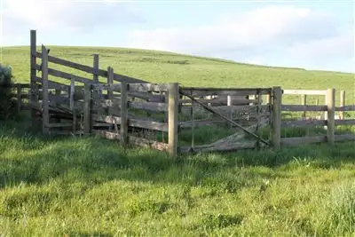 Fifth view of Homely rural property listing, 180 Eastern Creek Road, Port Campbell VIC 3269