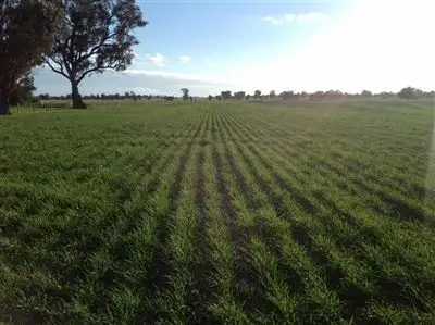 Sixth view of Homely rural property listing, 1585 Savernake Road, Mulwala NSW 2647