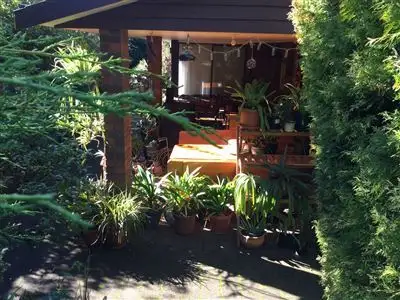Main view of Homely house listing, 3 Ethel Street, Scottsdale TAS 7260