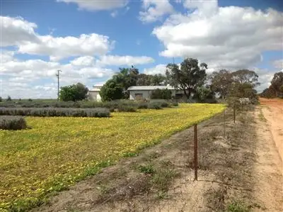 Fourth view of Homely rural property listing, Address available on request