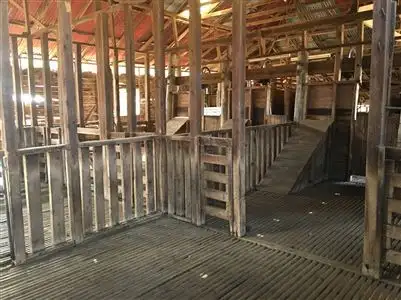 Fifth view of Homely rural property listing, 4861 Mendooran rd, Coonabarabran NSW 2357