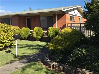Second view of Homely house listing, 12 Hedley Street, Scottsdale TAS 7260