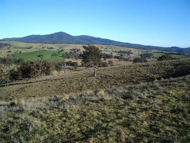 Third view of Homely rural property listing, 496 Hammonds Road, Ensay VIC 3895