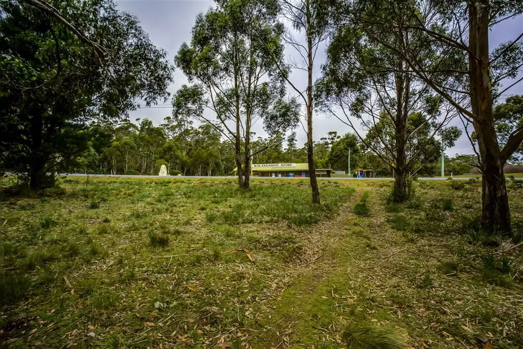 Main view of Homely land listing, 4 Brewis Place, Lake Leake TAS 7210
