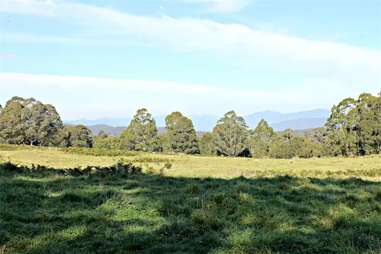 Sixth view of Homely rural property listing, Cnr Araluen Road and Monga Lane Reidsdale, Braidwood NSW 2622