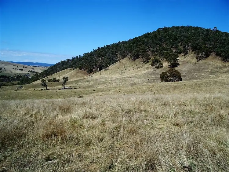 Sixth view of Homely rural property listing, 39 Connleys Lane, Omeo VIC 3898