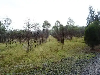Second view of Homely rural property listing, 103ha Ansons Bay Road, St Helens TAS 7216