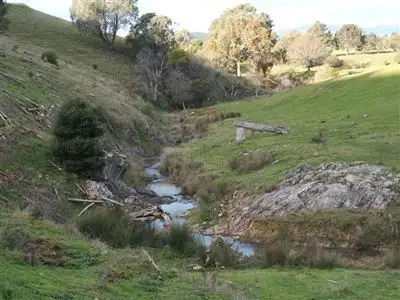 Fifth view of Homely rural property listing, Lot 1/226 Lake Buffalo-Carboor Road, Carboor VIC 3678