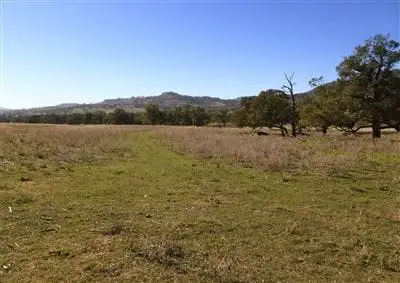 Third view of Homely rural property listing, 1300 Warrah Creek Road, Willow Tree NSW 2339