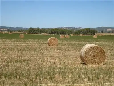 Fourth view of Homely rural property listing, 479 Campbell Road, Benger WA 6223