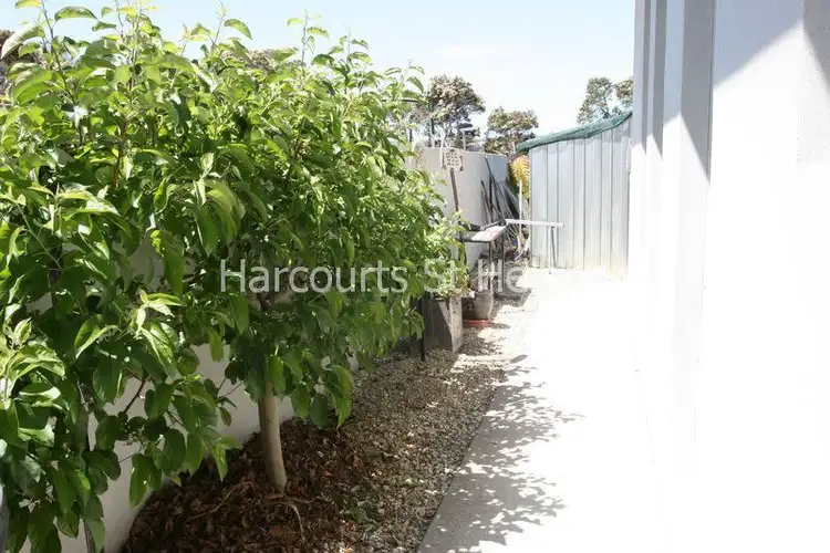 Sixth view of Homely villa listing, 1/2 Palm Court, St Helens TAS 7216