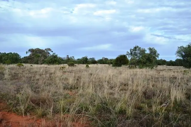 Sixth view of Homely rural property listing, * Mildyn Park, Cobar NSW 2835