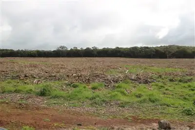 Fourth view of Homely rural property listing, 5 Lots Simpson/Corriemungle Districts, Simpson VIC 3266