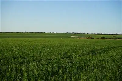 Main view of Homely rural property listing, Address available on request