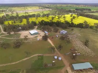 Fifth view of Homely rural property listing, 4855 Riddoch Highway, Padthaway SA 5271