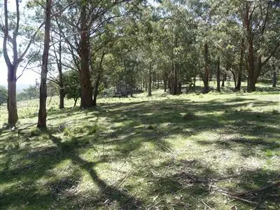 Third view of Homely rural property listing, Lot 3 Berlang Forest Road, Braidwood NSW 2622