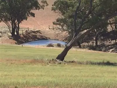 Fourth view of Homely rural property listing, Section174 Black Swamp Road, Murray Town SA 5481