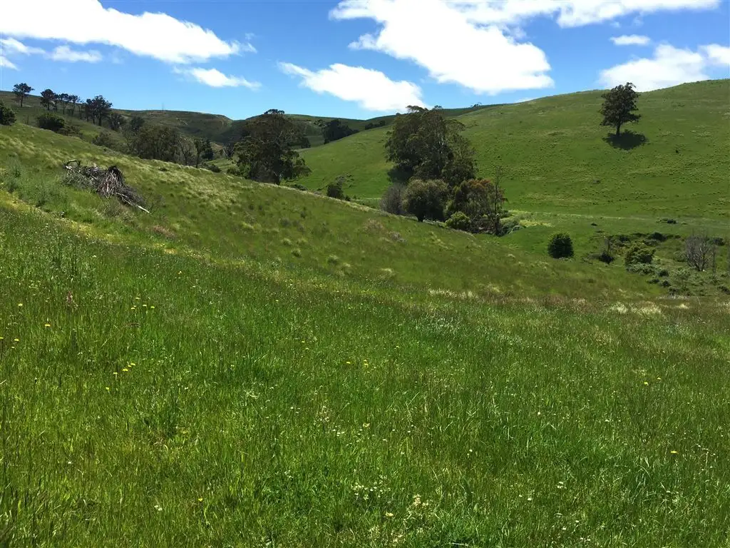 Main view of Homely rural property listing, Lot 1,2,3, Kalladys Road, Jack River VIC 3971