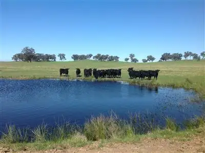 Fifth view of Homely rural property listing, 194 Geodetic Road, Bundalong VIC 3730