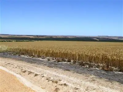 Main view of Homely rural property listing, Address available on request