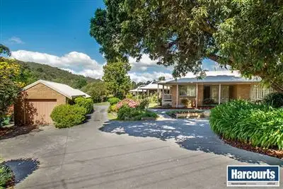 1/2 Sophia Grove, Tecoma VIC 3160